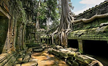 Angkor Temple Tours